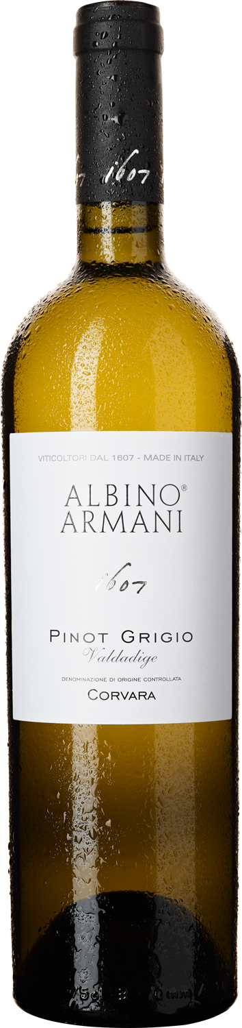 Albino Armani Pinot Grigio Vigneto Artikel Wein bestellen by