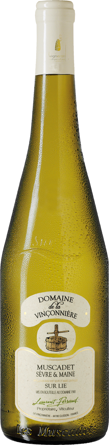 Muscadet sevre maine sur lie