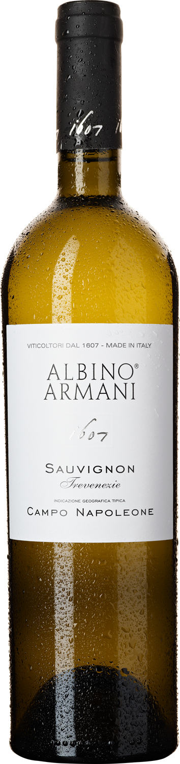 Albino Armani Sauvignon Campo Napoleone Artikel Wein bestellen